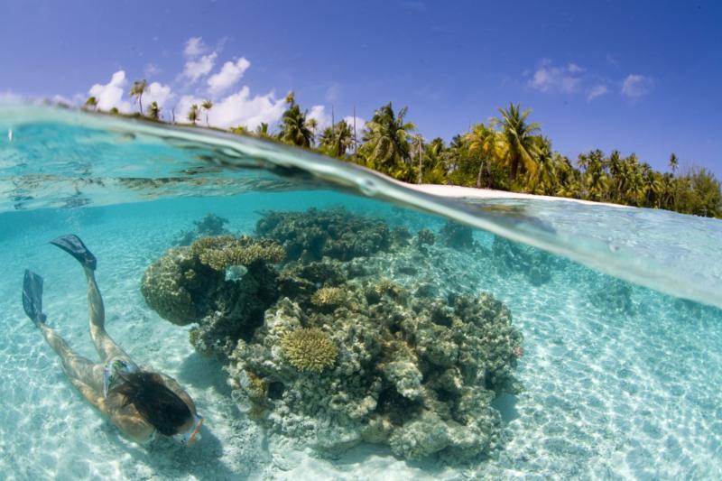 Snorkeling Tahaa