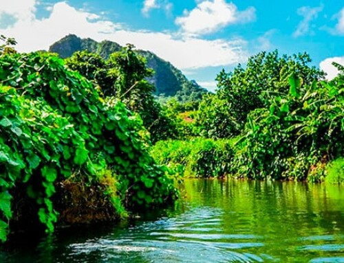 Secrets culturels de Raiatea : plongée au cœur des mythes et des marae