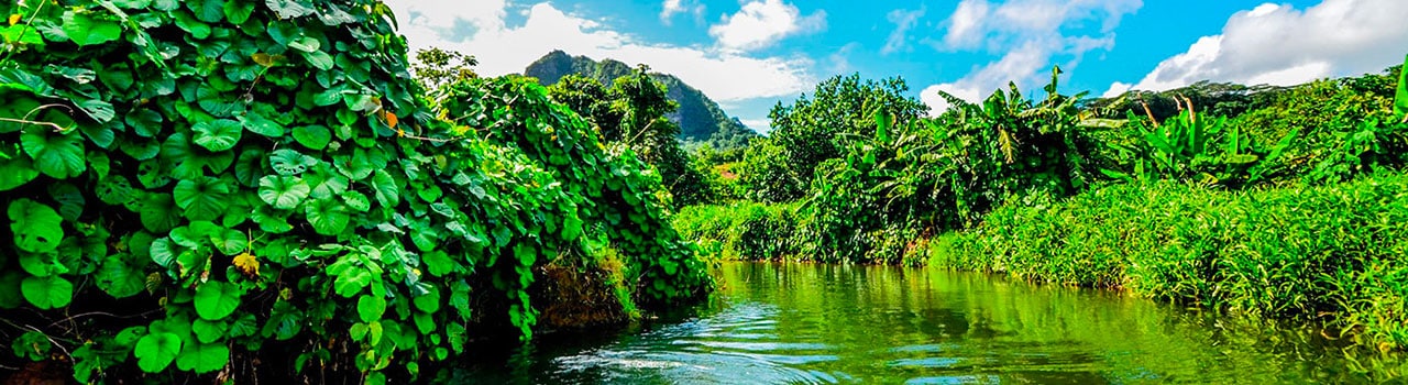 En tete tour de raiatea privatif a rajouter min min 1 scaled