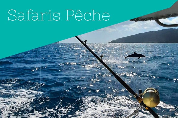 Fishing Safaris