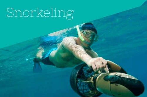 Snorkeling
