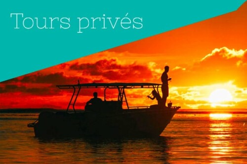 Private Tours