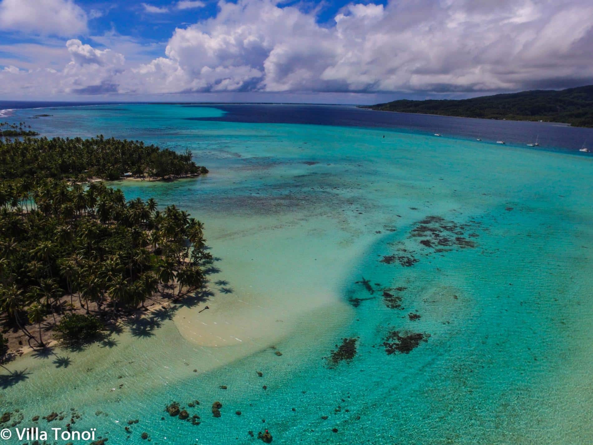 Coral garden tau tau 5 min scaled scaled 1jpg Destination Lagon Tours and Excursions at Raiatea Tahaa Coral garden tau tau 5 min scaled scaled 1jpg