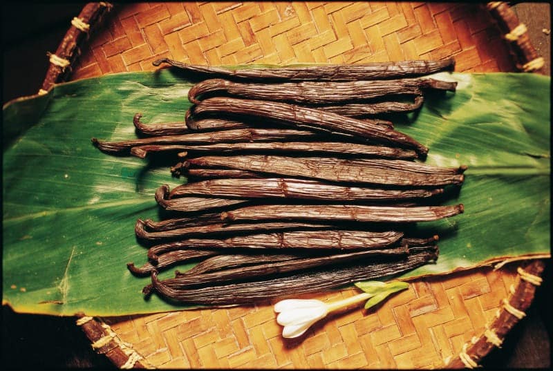 Dl 38 4 scaled 800x537 1jpg Destination Lagon Tours and Excursions at Raiatea Tahaa Dl 38 4 scaled 800x537 1jpg