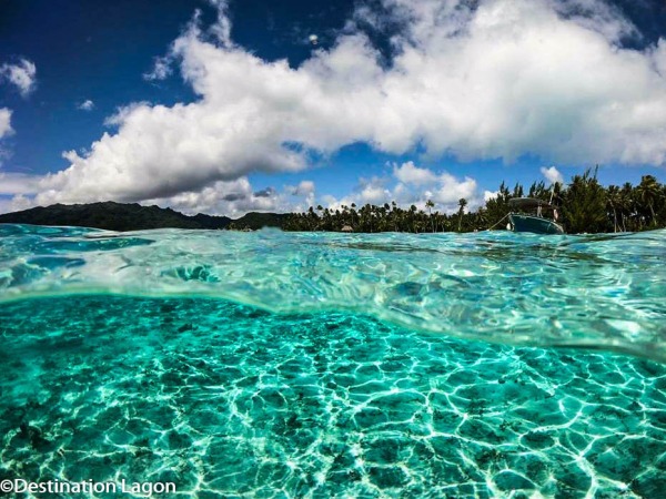 Coral Garden Tau Tau 21