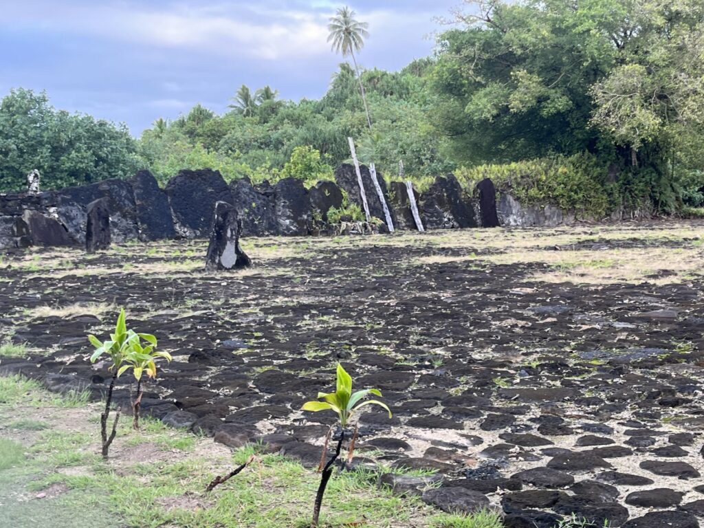 Image00005 scaled Destination Lagon Tours Et Excursions à Raiatea Et Tahaa Image00005 scaled